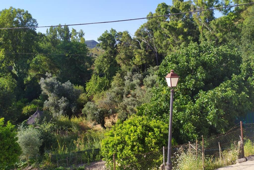 Vivienda Majaceite Lejlighed El Bosque Eksteriør billede